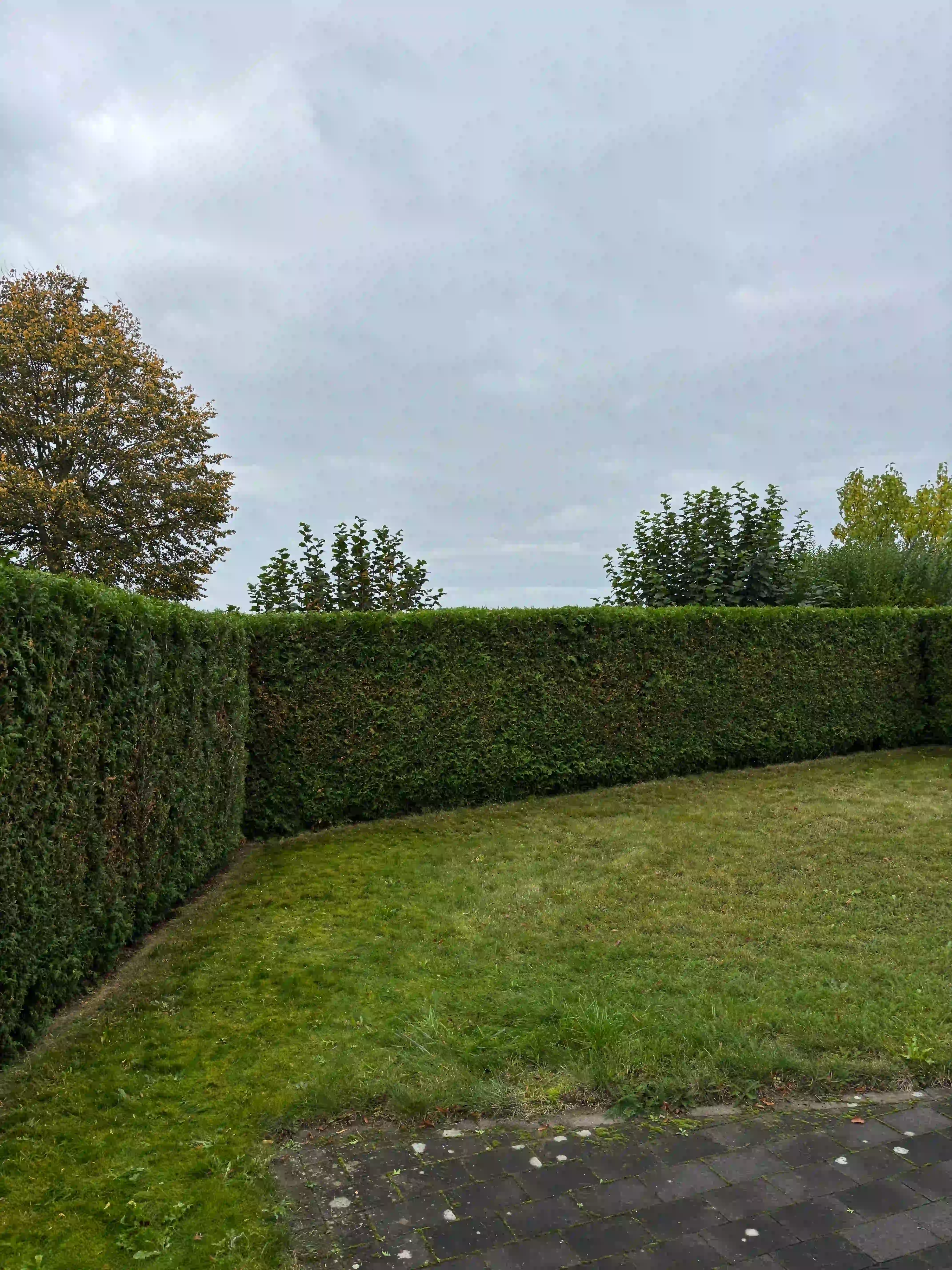 Heckenschnitt Gartenbau Datteln